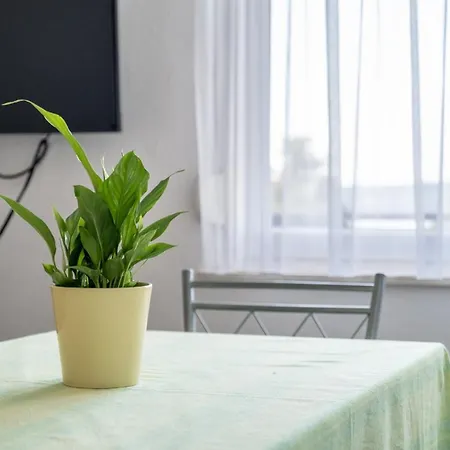 Mimi Πανσιόν Τρογκίρ